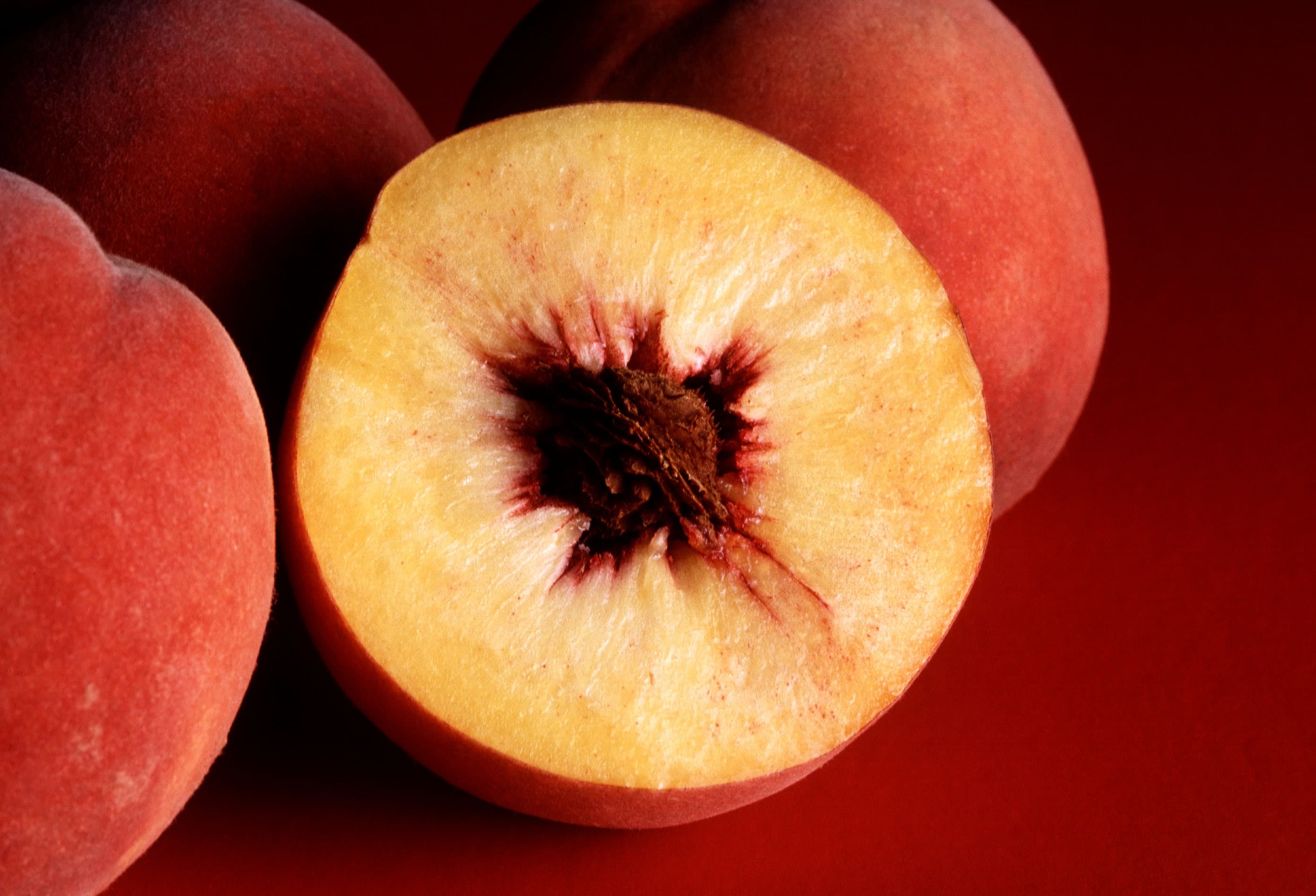 Peach (Prunus persica)